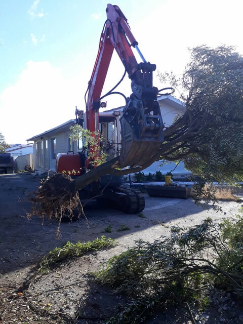 TBT Earthworks project photo